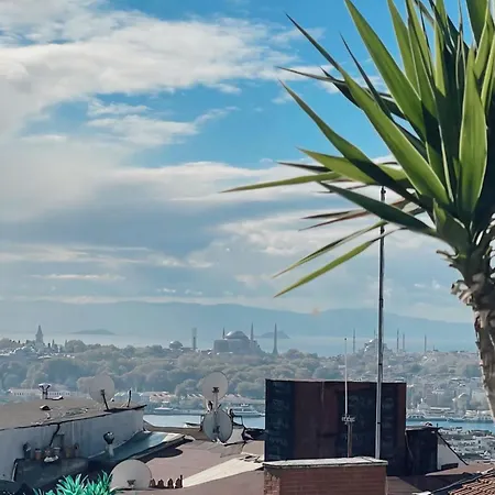 Misafir 8